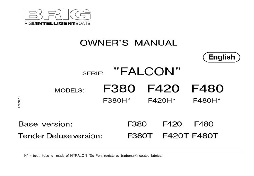 BRIG FALCON 2013 Manual de usuario