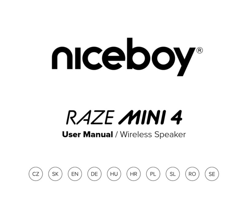 Niceboy RAZE MINI 4 Manual de usuario Niceboy RAZE MINI 4 Manual de usuario