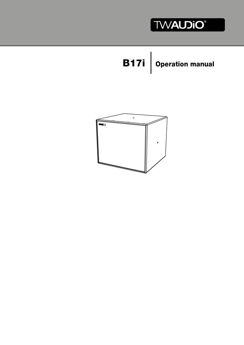 TW Audio B17i Manual de usuario